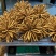 冬虫夏草精品草玉树特产