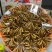 冬虫夏草精品草玉树特产