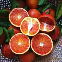 [一件玳发]四川塔罗科血橙对接电商微商血橙