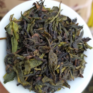 高山名茶大坪土山茶潮汕八仙茶惠来高山茶1斤诏安八仙茶