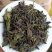 高山名茶大坪土山茶潮汕八仙茶惠来高山茶1斤诏安八仙茶