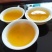 高山名茶大坪土山茶潮汕八仙茶惠来高山茶1斤诏安八仙茶