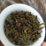 高山名茶大坪土山茶潮汕八仙茶惠来高山茶1斤诏安八仙茶
