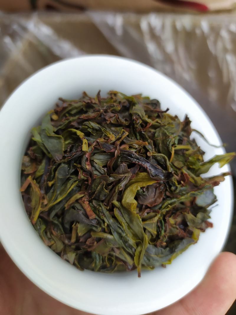高山名茶大坪土山茶潮汕八仙茶惠来高山茶1斤诏安八仙茶