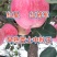 红星苹果红将军中秋好礼中秋王早熟富士大量上市