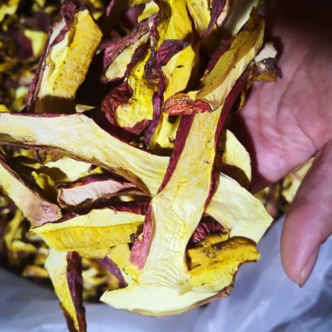 黄牛肝菌（小红葱），见手青，产自云南楚雄一手货源