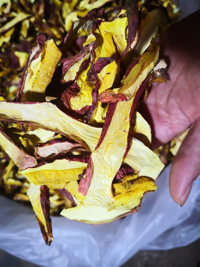 黄牛肝菌（小红葱），见手青，产自云南楚雄一手货源