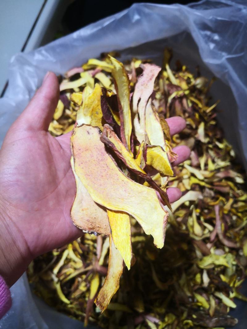 黄牛肝菌（小红葱），见手青，产自云南楚雄一手货源