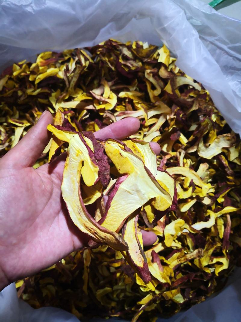 黄牛肝菌（小红葱），见手青，产自云南楚雄一手货源