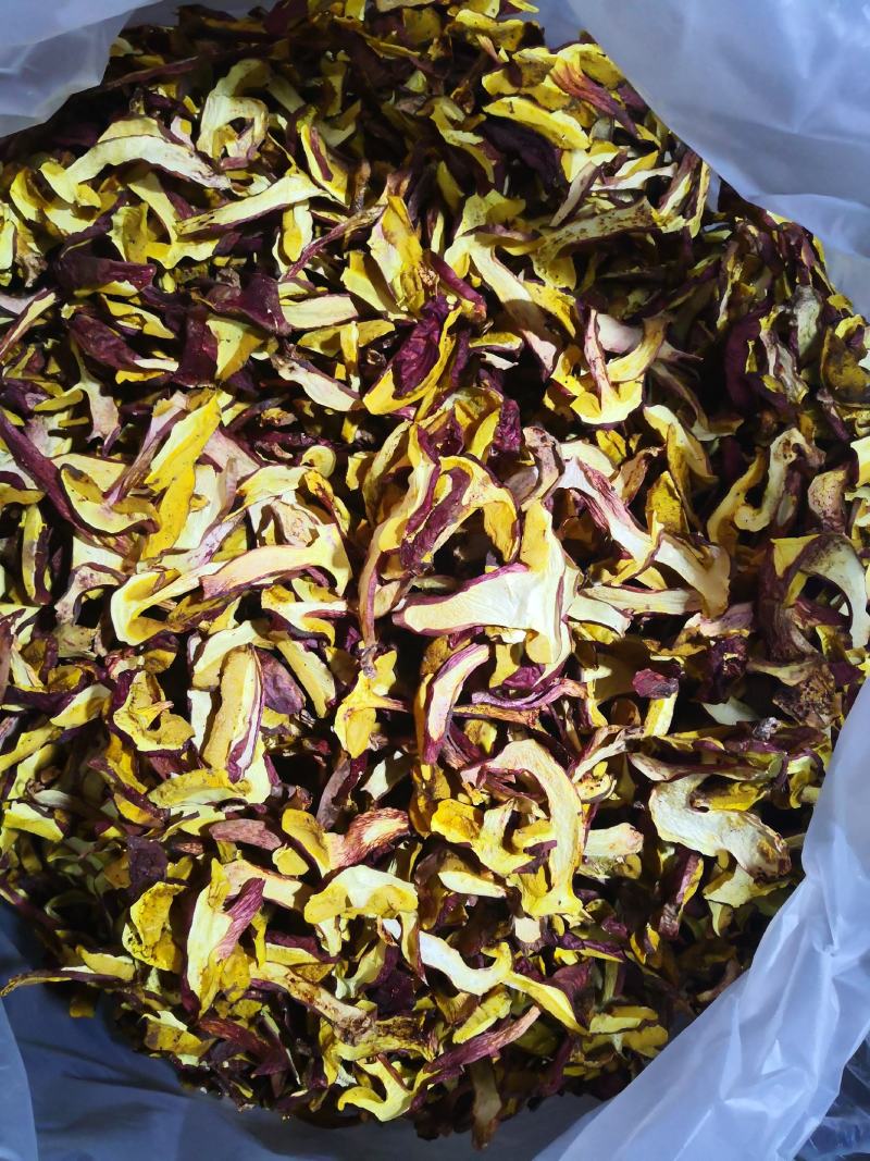 黄牛肝菌（小红葱），见手青，产自云南楚雄一手货源