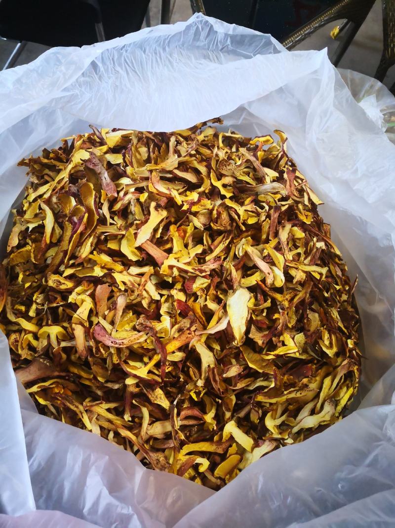 黄牛肝菌（小红葱），见手青，产自云南楚雄一手货源