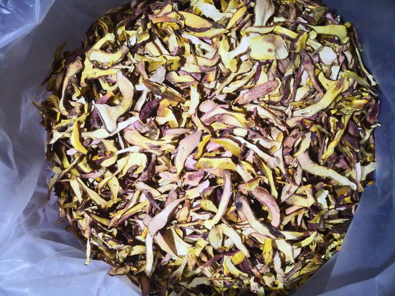 黄牛肝菌（小红葱），见手青，产自云南楚雄一手货源