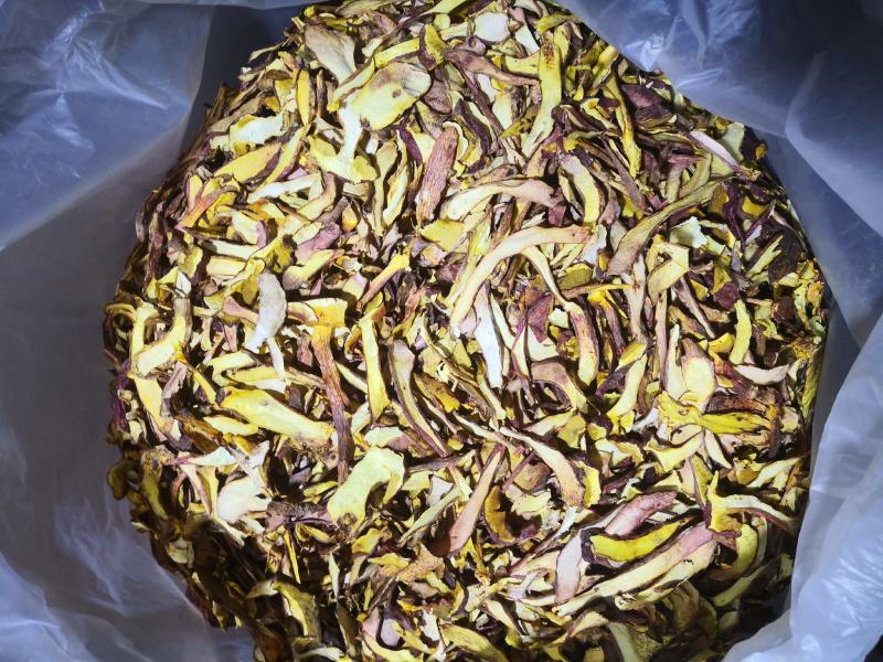 黄牛肝菌（小红葱），见手青，产自云南楚雄一手货源