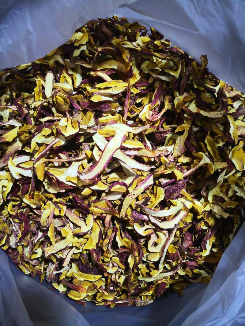 黄牛肝菌（小红葱），见手青，产自云南楚雄一手货源