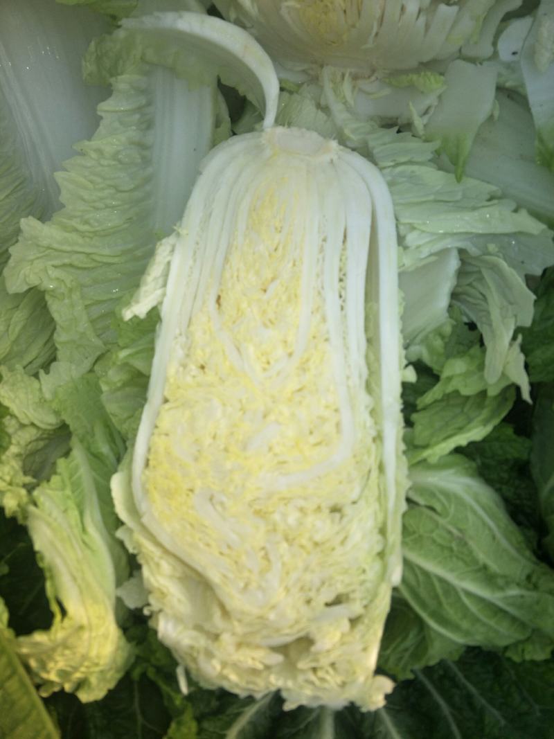 黄心白菜精品白菜玲珑黄大黄心产地直发物美价廉