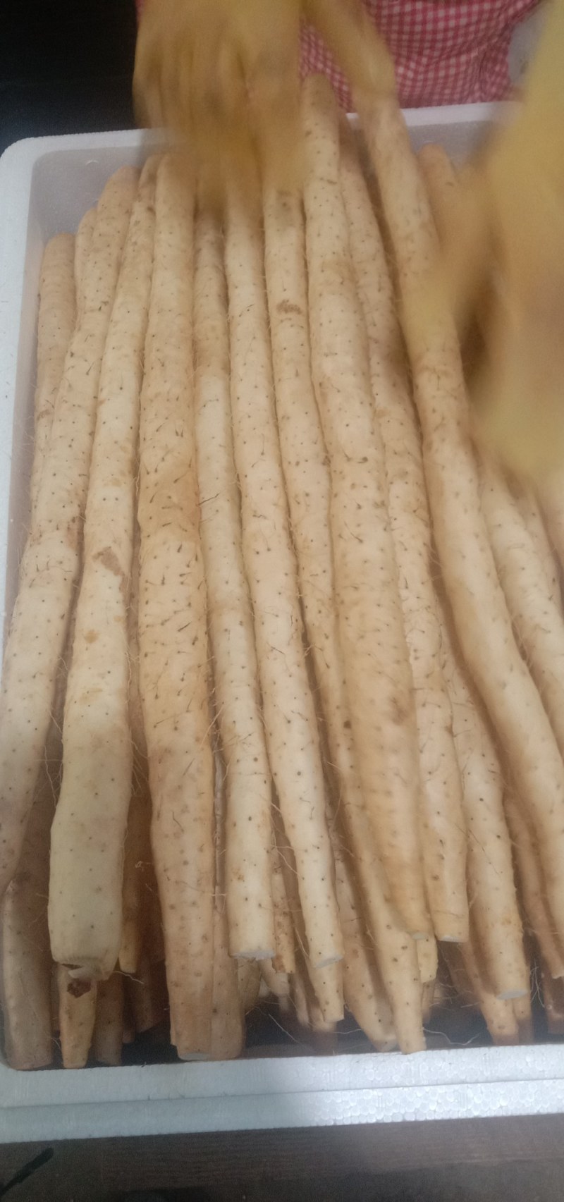 专业批发小白嘴白山药精品货