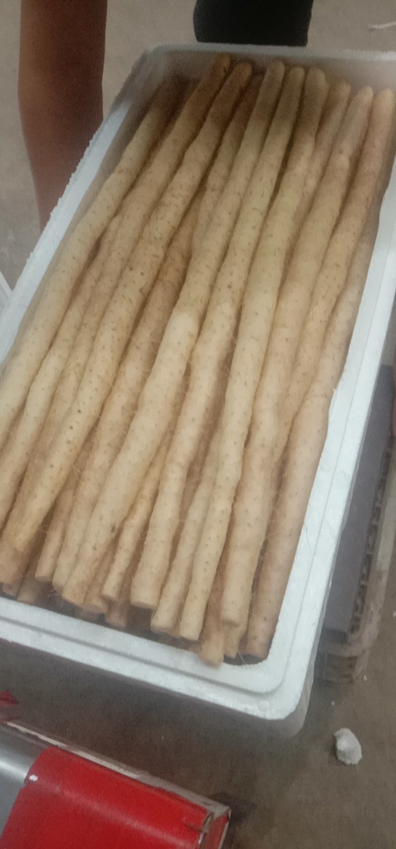 专业批发小白嘴白山药精品货