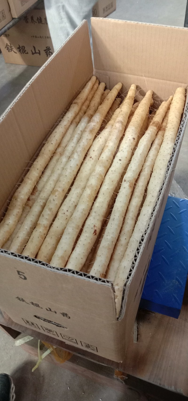 专业批发小白嘴白山药精品货