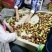 红枣花麻枣鲜枣酥脆香甜脆枣好吃可口五佛大枣佛枣