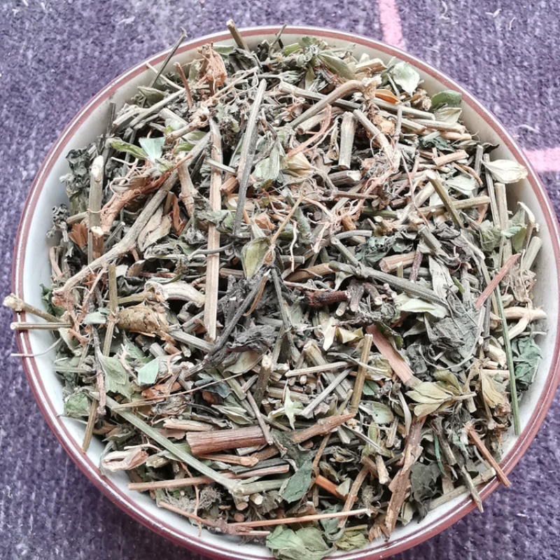 九头狮子草一手货源产地直销