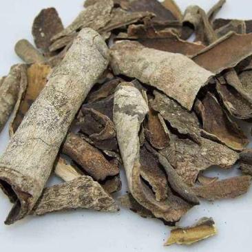 救必应一手货源产地直销