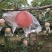 红星苹果产地优质苹果山东苹果大量批发价格随行就市