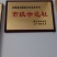 香樟苗造林苗木绿化苗木