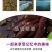 一件代发山东紫薯新鲜地瓜农家蔬菜现挖软糯蜜板栗山芋