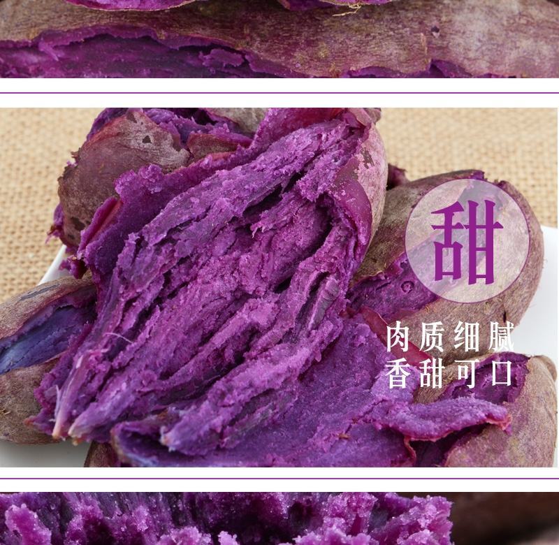 一件代发山东紫薯新鲜地瓜农家蔬菜现挖软糯蜜板栗山芋