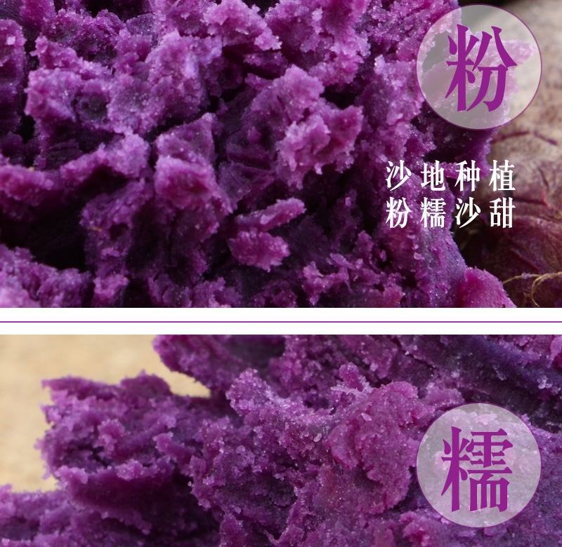 一件代发山东紫薯新鲜地瓜农家蔬菜现挖软糯蜜板栗山芋