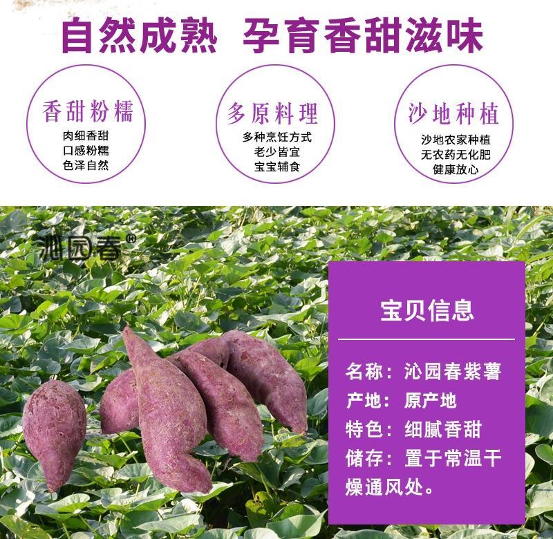 一件代发山东紫薯新鲜地瓜农家蔬菜现挖软糯蜜板栗山芋
