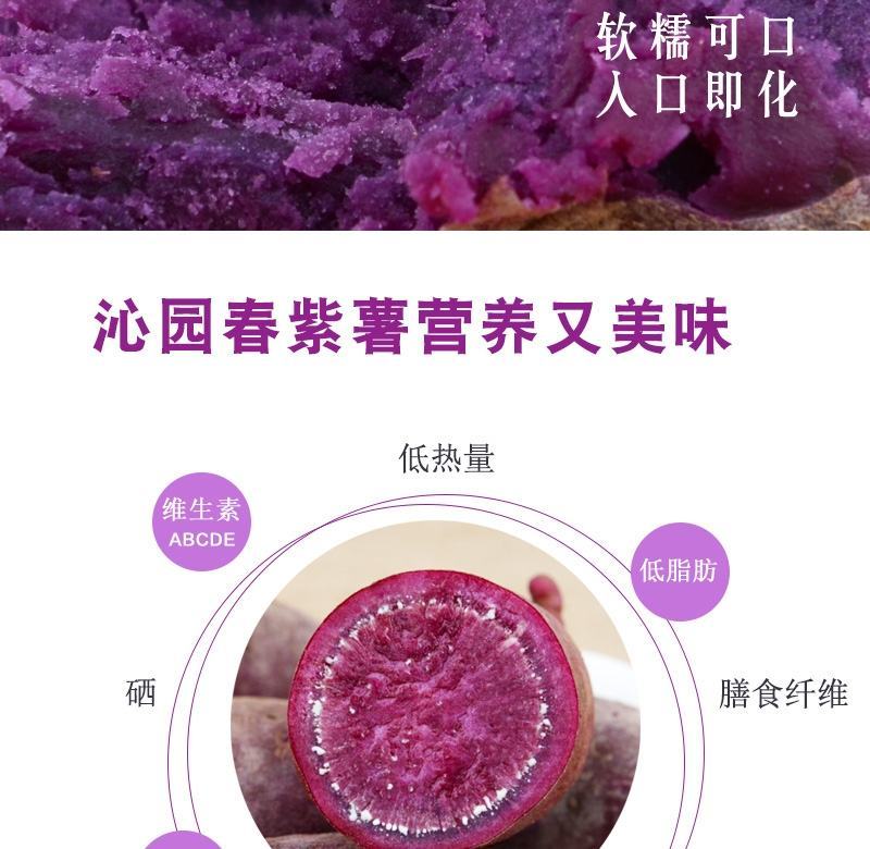 一件代发山东紫薯新鲜地瓜农家蔬菜现挖软糯蜜板栗山芋
