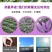 一件代发山东紫薯新鲜地瓜农家蔬菜现挖软糯蜜板栗山芋