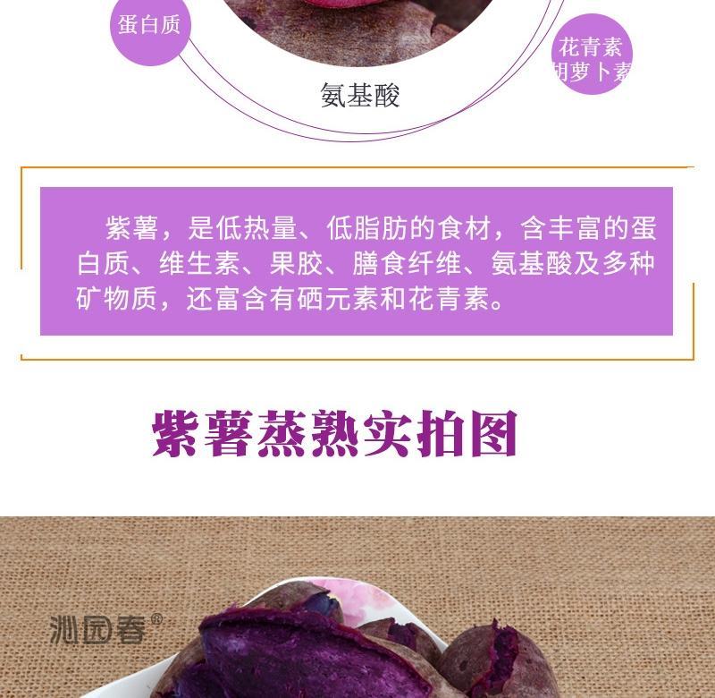 一件代发山东紫薯新鲜地瓜农家蔬菜现挖软糯蜜板栗山芋