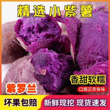 一件代发山东紫薯新鲜地瓜农家蔬菜现挖软糯蜜板栗山芋