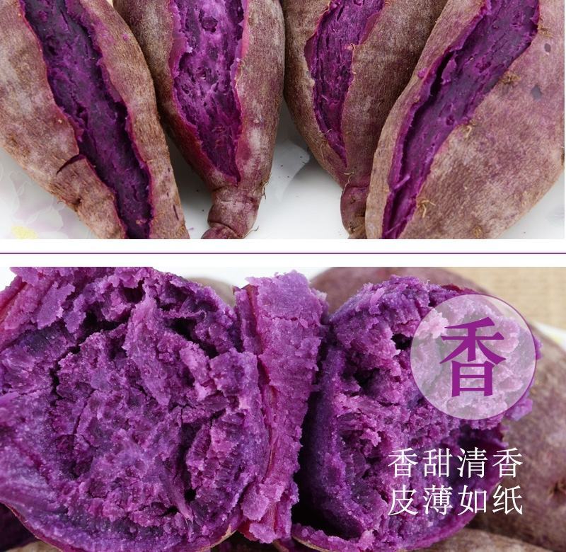 一件代发山东紫薯新鲜地瓜农家蔬菜现挖软糯蜜板栗山芋