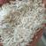 象牙米厂家直销日产30吨口感清香，砂锅饭煲仔饭专用米
