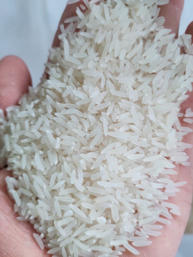 象牙米厂家直销日产30吨口感清香，砂锅饭煲仔饭专用米