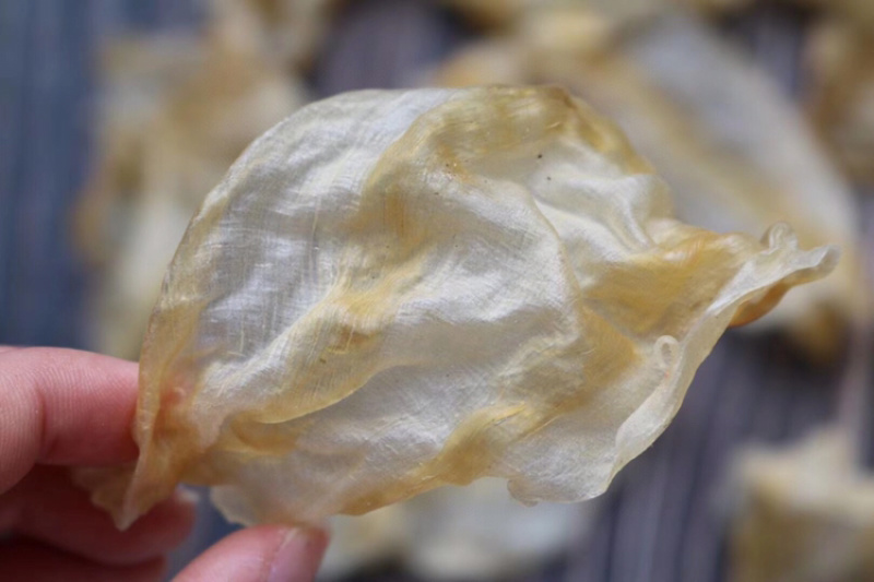 大号红鱼肚鱼胶花胶水产干货批发代发送礼礼盒