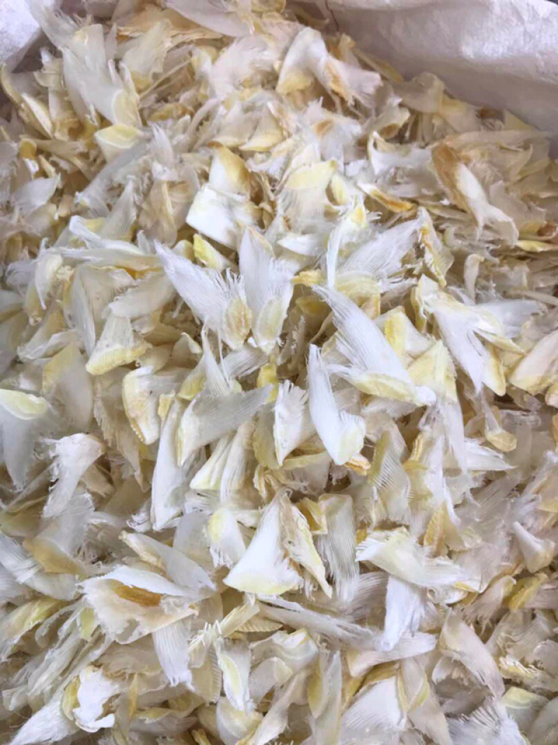 鱼翅小鱼翅翅针多口感独特鲜美干度好胶质香糯可口餐饮材料