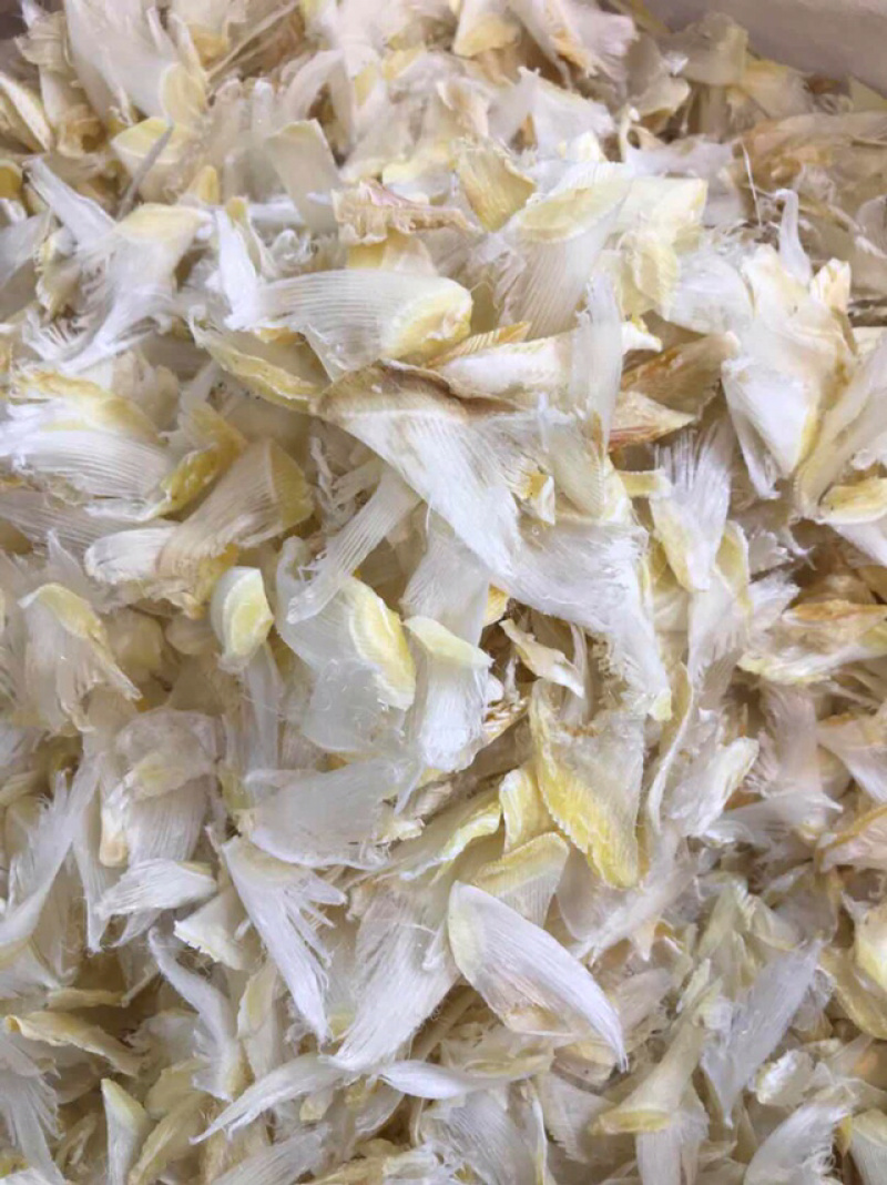 鱼翅小鱼翅翅针多口感独特鲜美干度好胶质香糯可口餐饮材料