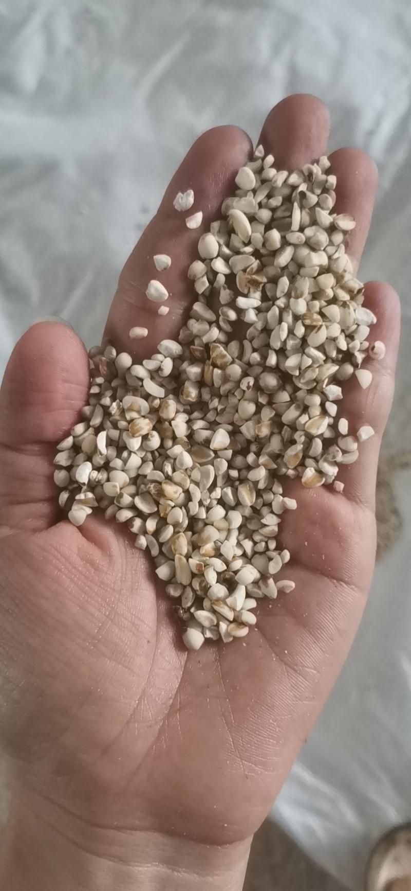 【优质】薏米碎瓣碎薏米批发厂家直发货源充足