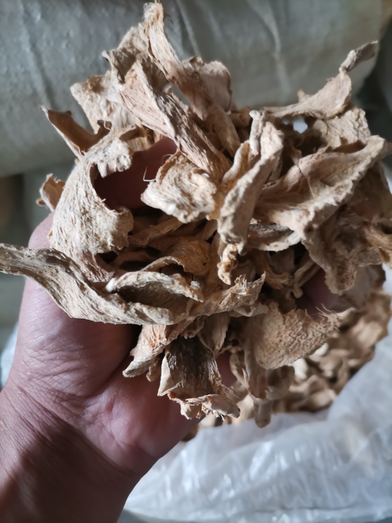 山东炕片柴姜片质量好