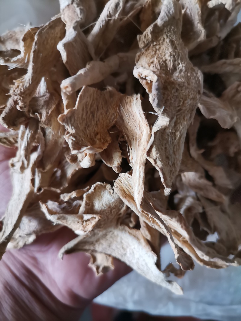 山东炕片柴姜片质量好