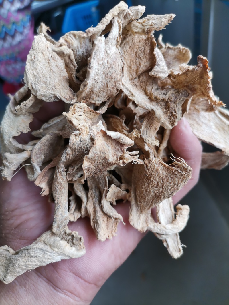 山东炕片柴姜片质量好