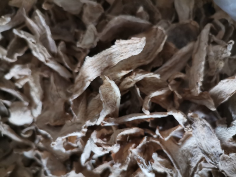 山东炕片柴姜片质量好