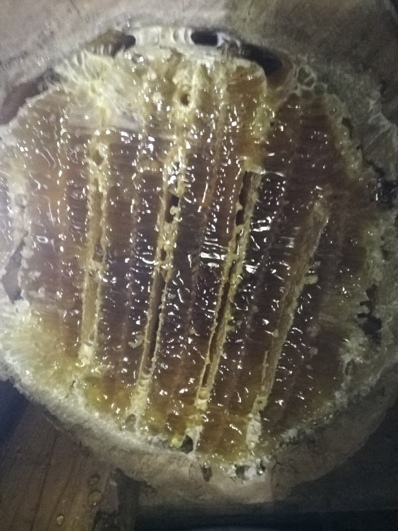 中华蜂蜂蜜百花蜜桓仁特产