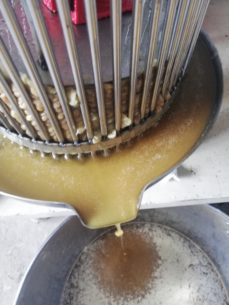 中华蜂蜂蜜百花蜜桓仁特产