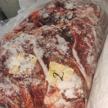 蒙古国马肉，冻品马肉精修，去油，超码带腱子四分体