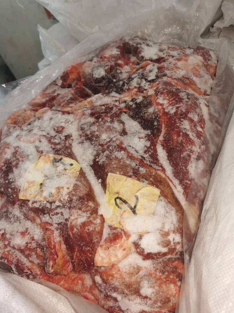 蒙古国马肉，冻品马肉精修，去油，超码带腱子四分体